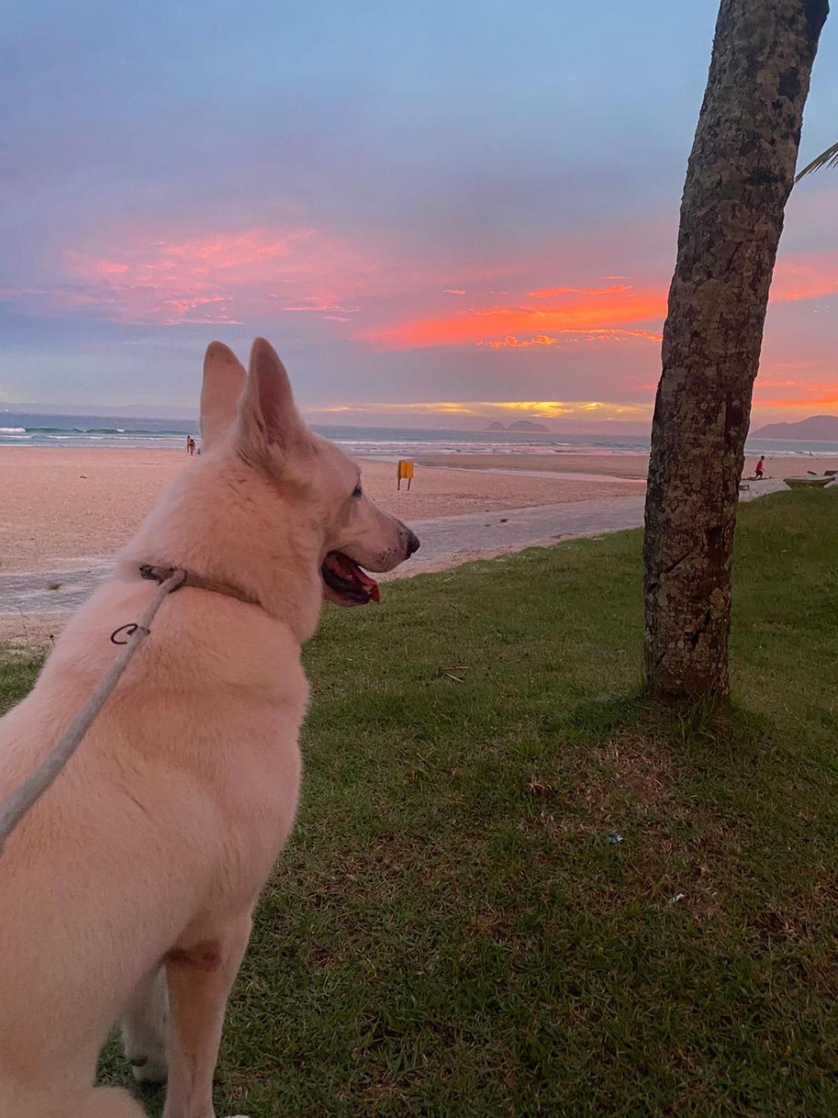 Lelis Casa - Enseada - Guaruja Sp - 02 Qd Da Praia, Conforto E Tranquilidade Dış mekan fotoğraf